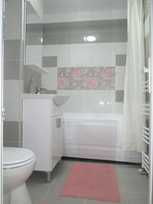 Apartament Sarra Tergovistye Kültér fotó