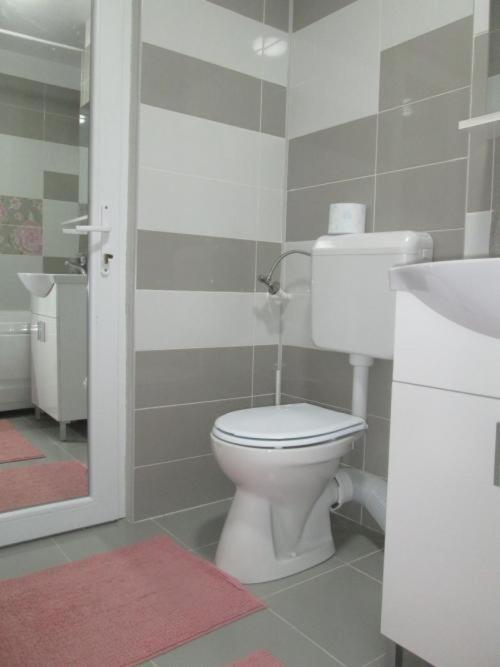 Apartament Sarra Tergovistye Kültér fotó